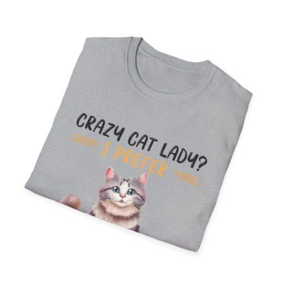 Crazy Cat Lady - Image 12
