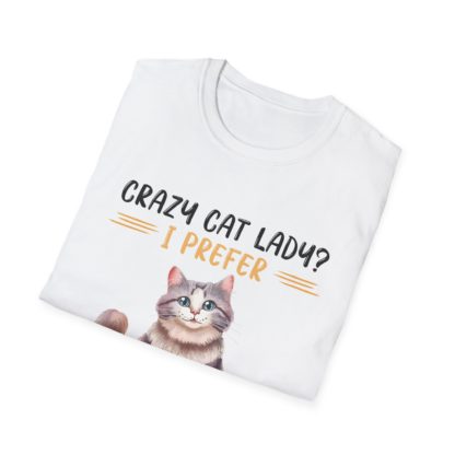 Crazy Cat Lady - Image 4