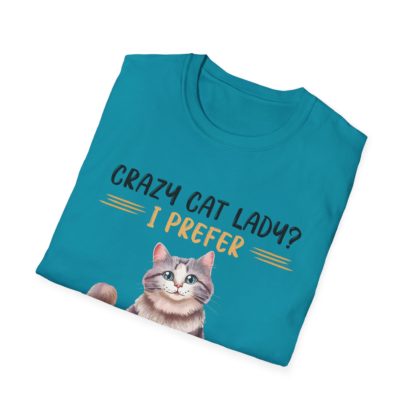 Crazy Cat Lady - Image 32