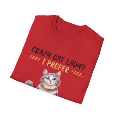 Crazy Cat Lady - Image 48
